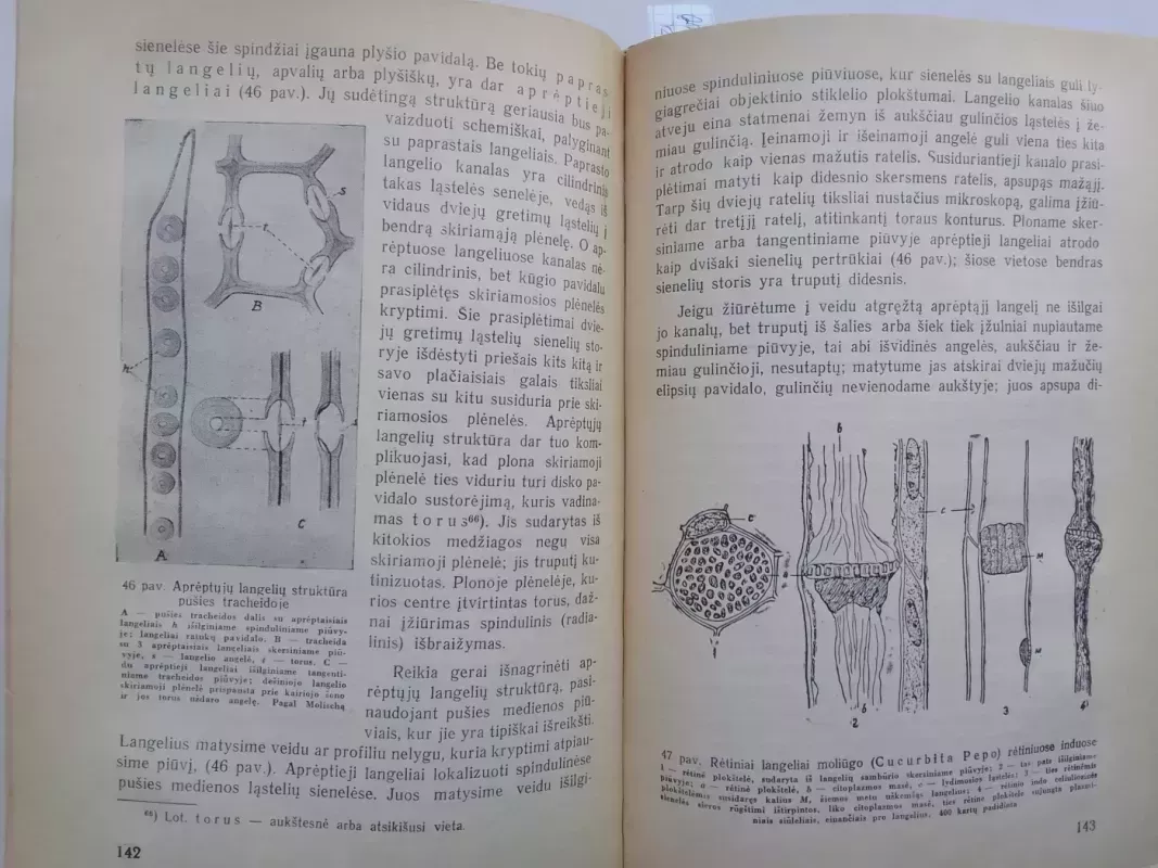 Augalų anatomija ir morfologija - Jonas Dagys, knyga 5