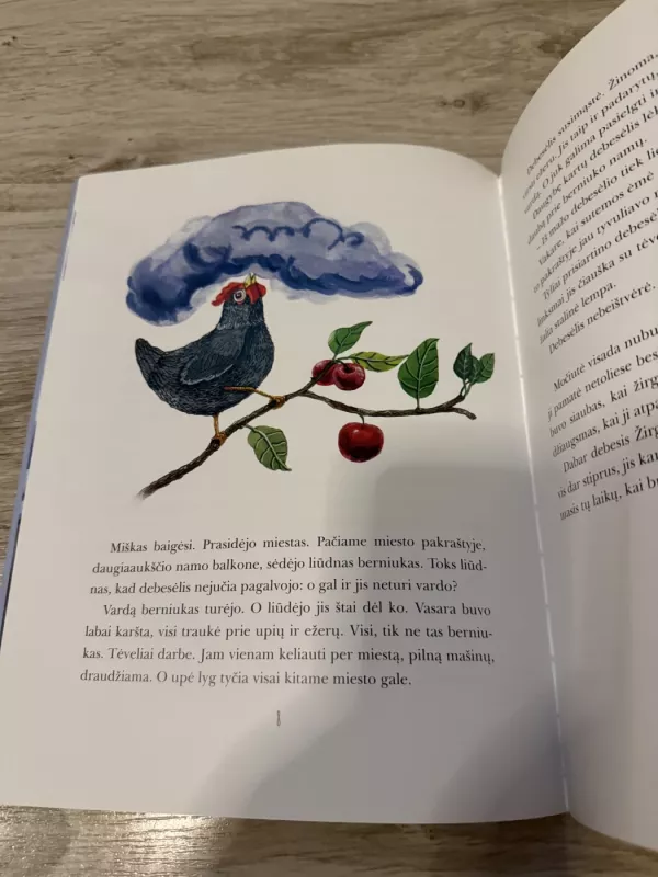 Debesėlis ieško vardo ir kitos pasakos - Gintarė Adomaitytė, knyga 3