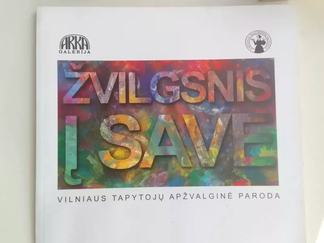 Žvilgsnis į save Vilniaus tapytojų apžvalginė paroda - Autorių Kolektyvas, knyga 2