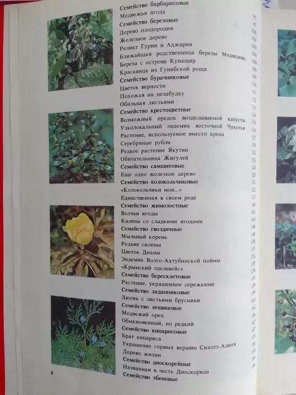 Reti ir nykstantys augalai (knyga rusų kalba) - V.I. Artamonov, knyga 4