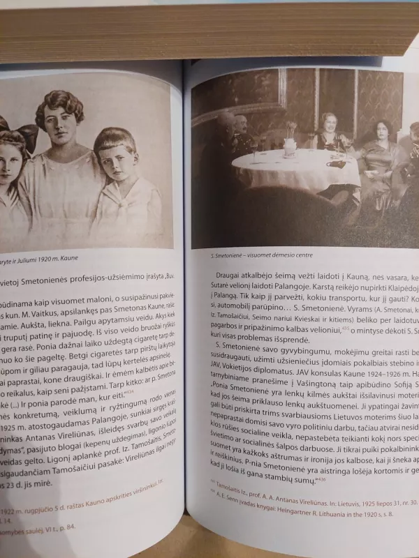 Antanas Smetona ir jo aplinka - Alfonsas Eidintas, knyga 5