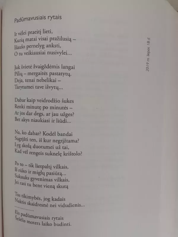 Devyniolika saulėtekių - Romualdas Žilinskas (Kaip lietus), knyga 6
