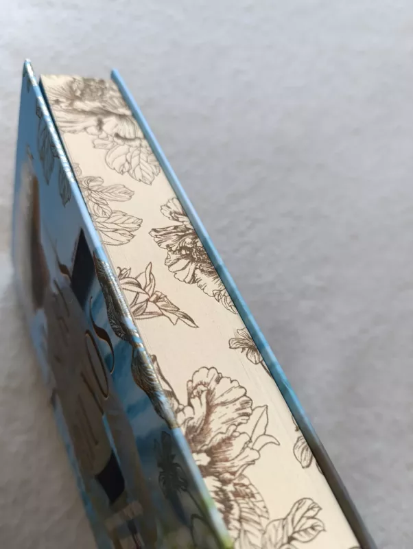 Seserys fortūnos - Anna Lee Huber, knyga 2