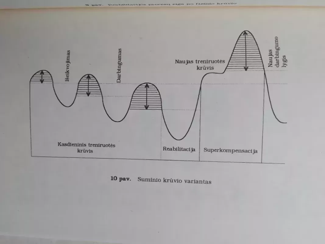 Sportinės treniruotės struktūra ir valdymas - Povilas Karoblis, knyga 6