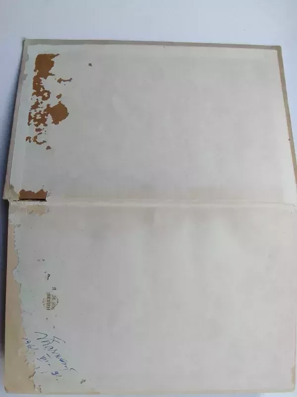 Vabzdžių žinynas (rusų kalba) - N.N. Plavilščikovas, knyga 3