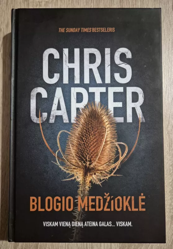 Blogio medžioklė - Chris Carter, knyga 2