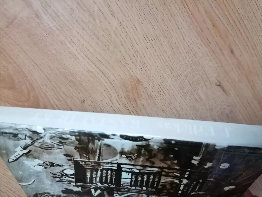 Raštai ir kt. - Juozas Erlickas, knyga 4