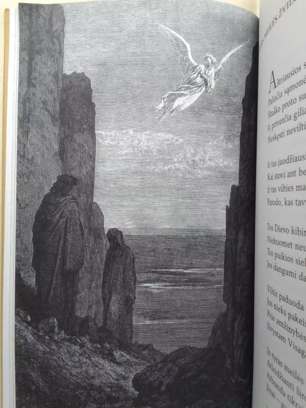 Pažvelk Dievybei į akis - Vytautas Steponas Vaičiūnas, knyga 6