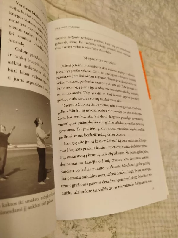 Rega visam gyvenimui - Autorių Kolektyvas, knyga 4