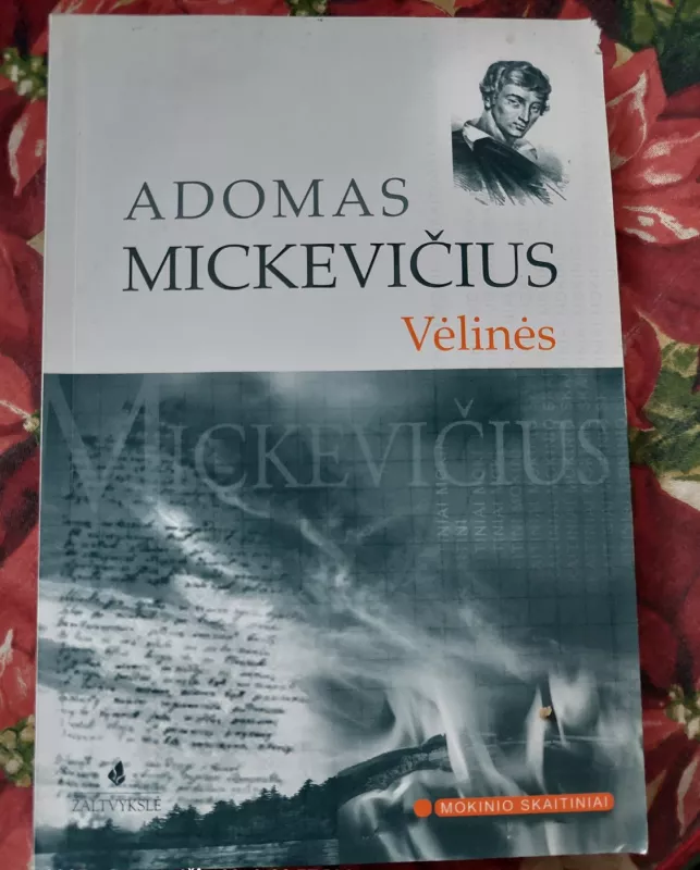 Vėlinės - Adomas Mickevičius, knyga 2