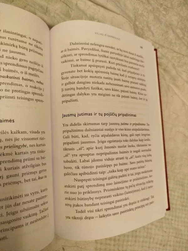Smegenų jungiklis: kelias iš depresijos - Arline Curtiss, knyga 4