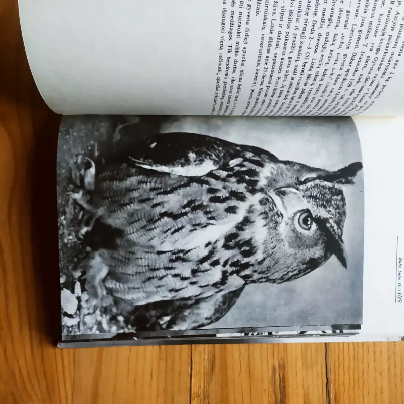 Lietuvos miškų paukščiai - A. Navasaitis, knyga 3