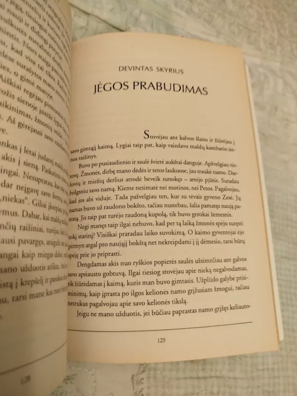 Tibeto šamanas. Milarepos istorija – nuo pykčio iki nušvitimo - Heather Hughes-Calero, knyga 4