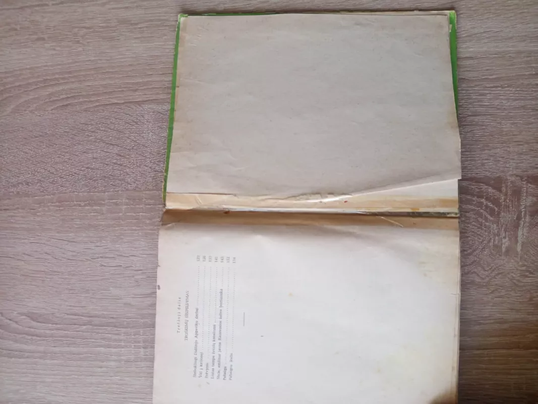 Smaragdo miesto burtininkas - A. Volkovas, knyga 4