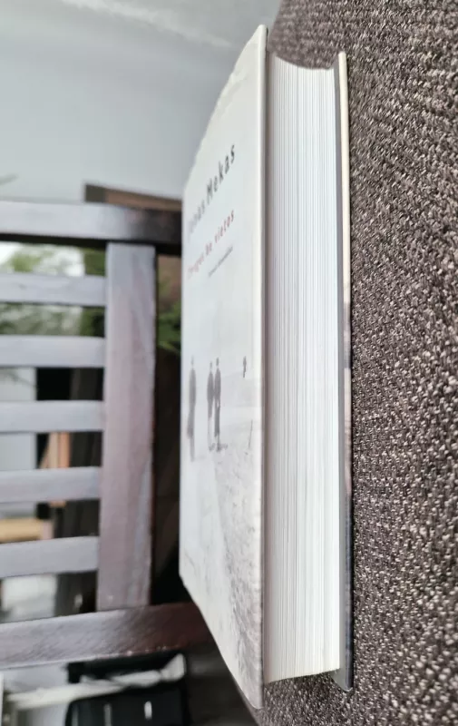 Žmogus be vietos: nervuoti dienoraščiai - Jonas Mekas, knyga 6