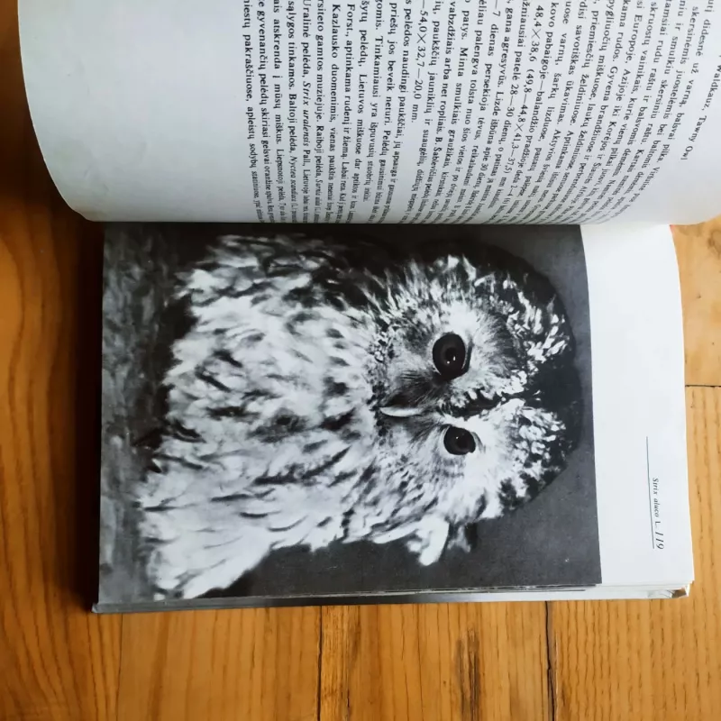 Lietuvos miškų paukščiai - A. Navasaitis, knyga 4