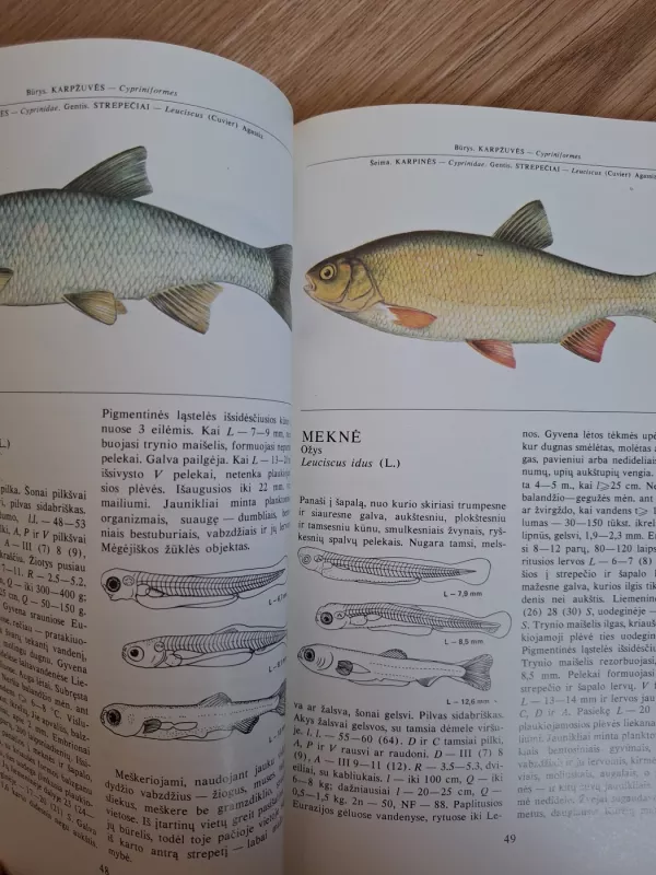 Lietuvos žuvys - Juozas Virbickas, knyga 6