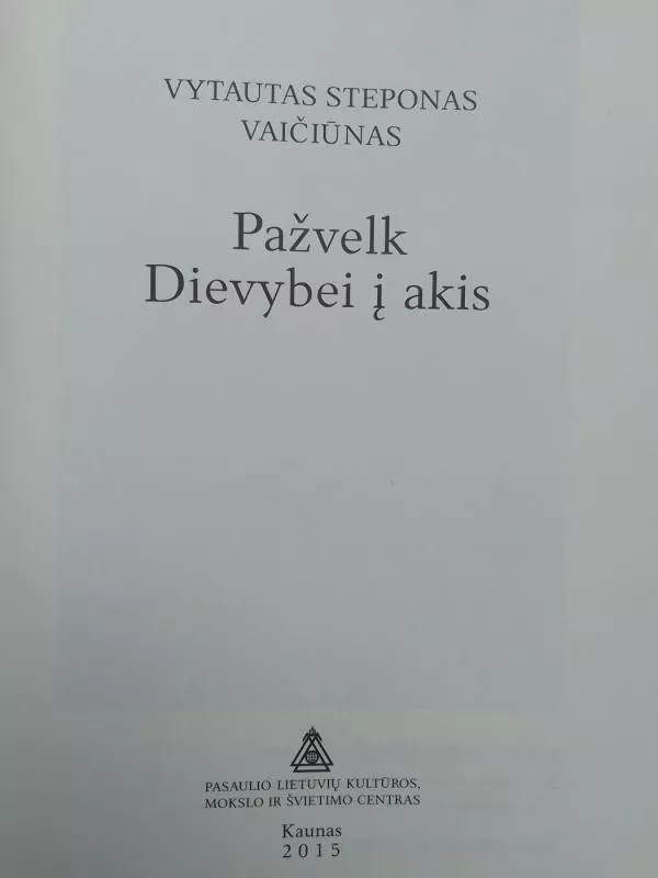 Pažvelk Dievybei į akis - Vytautas Steponas Vaičiūnas, knyga 3