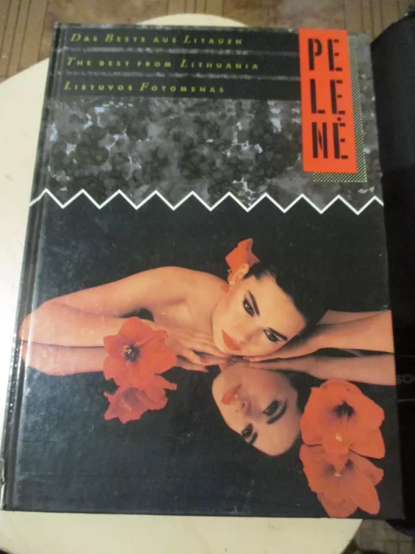 Pelenė. Lietuvos fotomenas - Autorių Kolektyvas, knyga 3