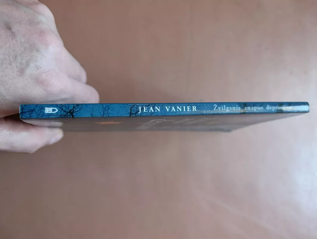 Žvilgsnis anapus depresijos - Jean Vanier, knyga 3