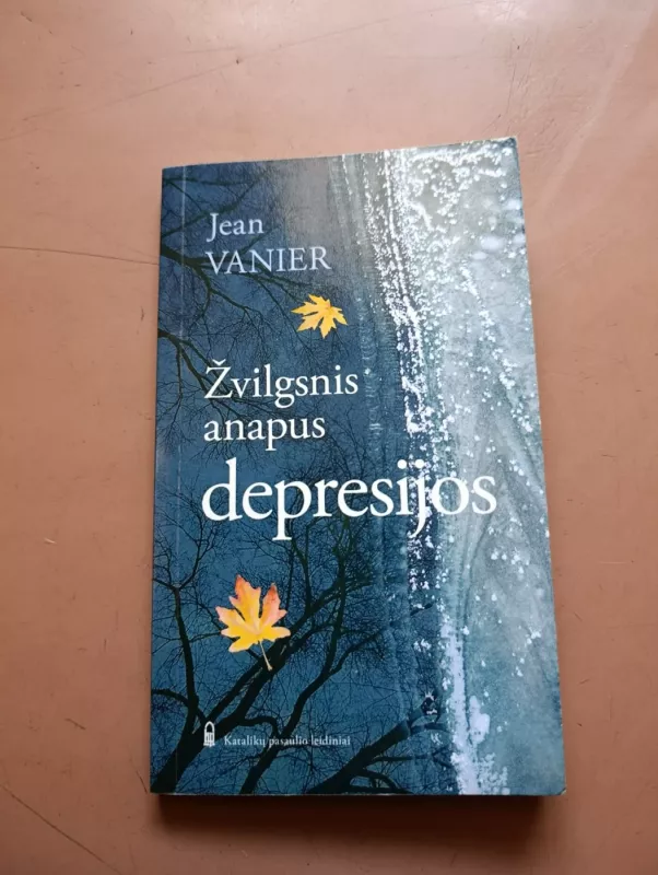 Žvilgsnis anapus depresijos - Jean Vanier, knyga 2