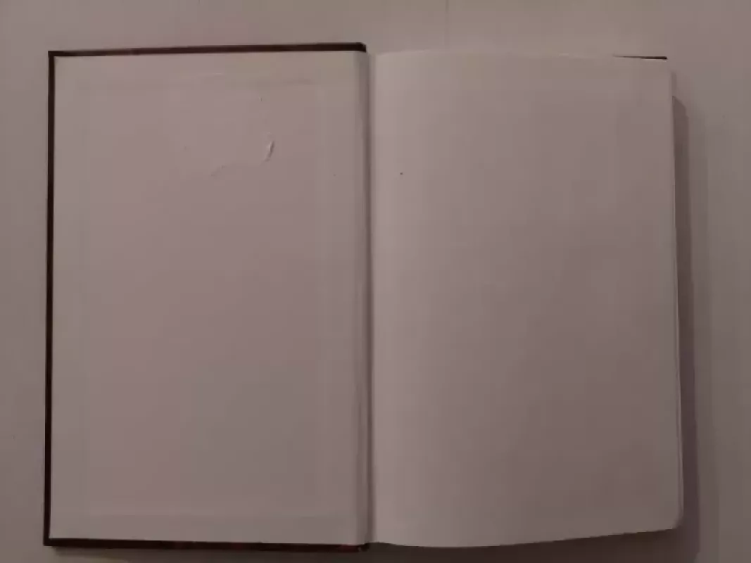 Lietuvių pasaulėjauta: papročiai, apeigos, ženklai - Jonas Trinkūnas, knyga 4