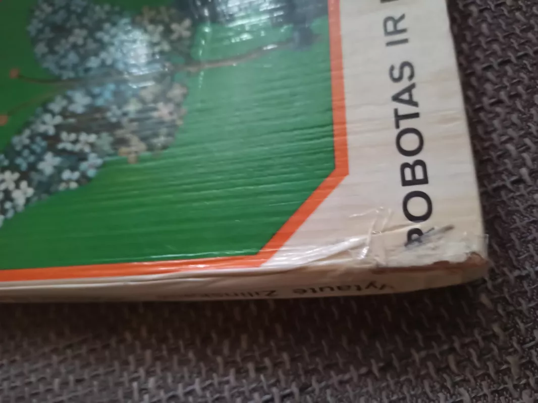 Robotas ir peteliškė - Vytautė Žilinskaitė, knyga 4
