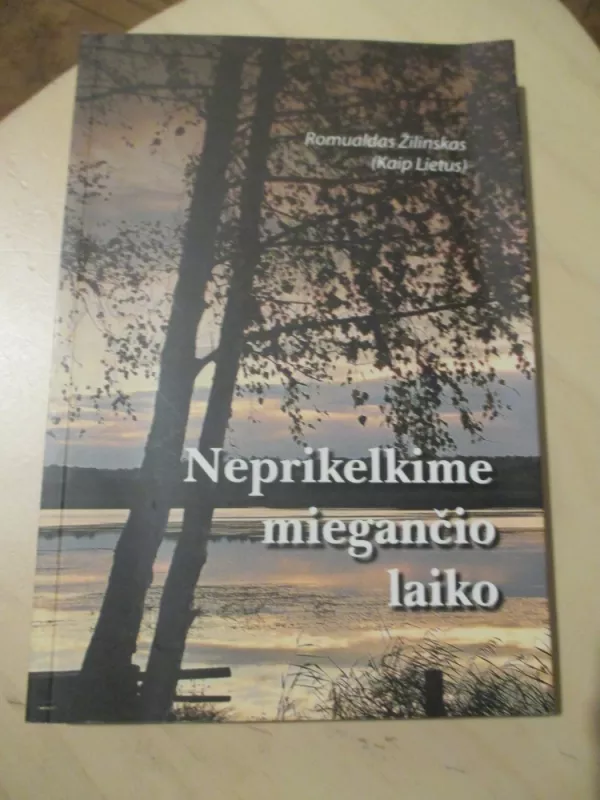 Neprikelkime miegančio laiko - Romualdas Žilinskas (Kaip lietus), knyga 3