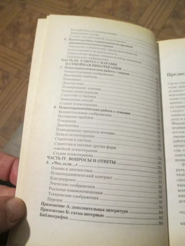 Pokalbis psichoterapijoje (rusų k.) - Robert Fitzgerald, knyga 5