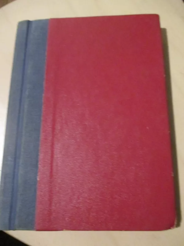 Gyvenimas po gyvenimo - A. Moody Raymond, knyga 5