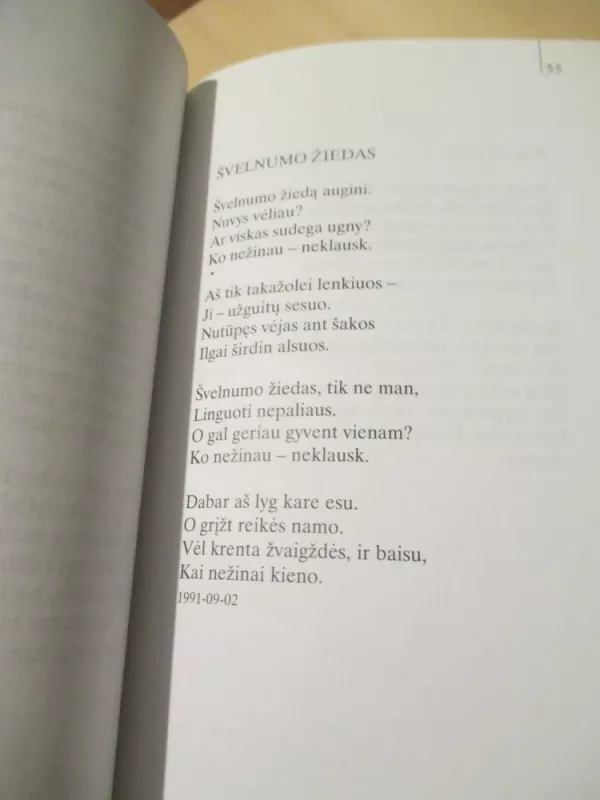 Griaustinis žiemą - Rimgaudas Valentinas Graibus, knyga 6