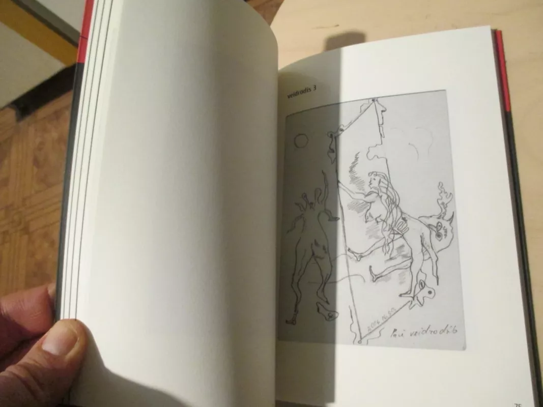 Grimzdimas - Gytis Norvilas, knyga 6