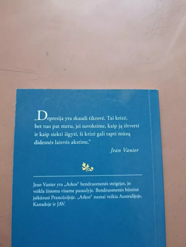 Žvilgsnis anapus depresijos - Jean Vanier, knyga 4