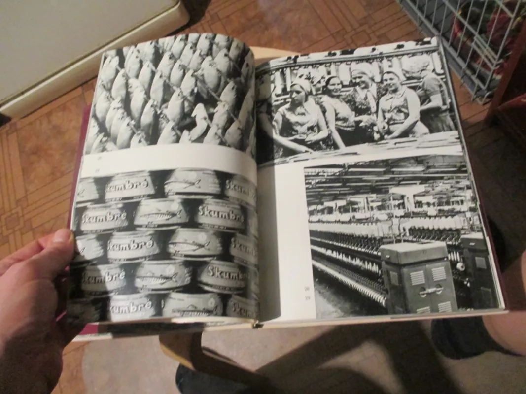 Klaipėda - Audrius Zavadskis, knyga 5