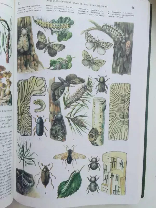 Jaunojo žemdirbio enciklopedinis žodynas (rusų kalba) - Autorių kolektyvas (įvairūs), knyga 4