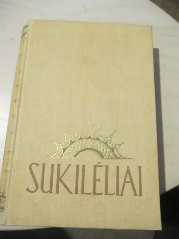 Sukilėliai (1 tomas) - Vincas Mykolaitis-Putinas, knyga 4