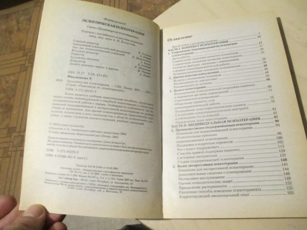 Pokalbis psichoterapijoje (rusų k.) - Robert Fitzgerald, knyga 6