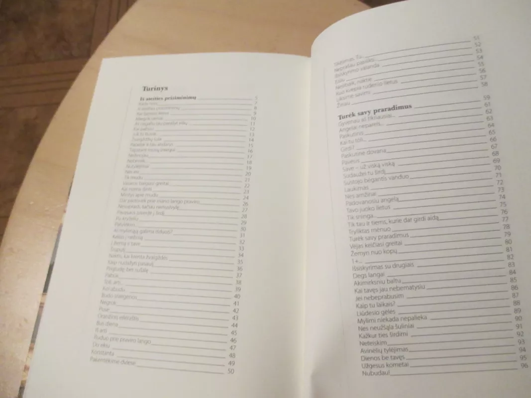 Neprikelkime miegančio laiko - Romualdas Žilinskas (Kaip lietus), knyga 4