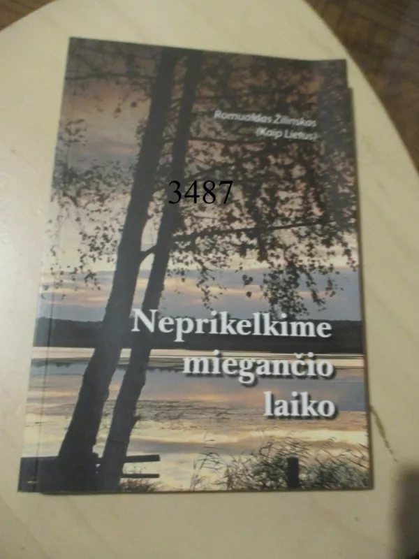 Neprikelkime miegančio laiko - Romualdas Žilinskas (Kaip lietus), knyga 2