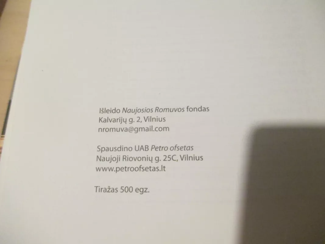 Neprikelkime miegančio laiko - Romualdas Žilinskas (Kaip lietus), knyga 5