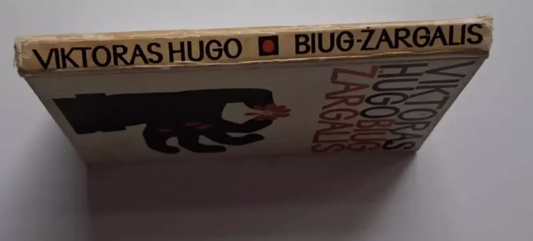 Biug-Žargalis - Viktoras Hugo, knyga 4