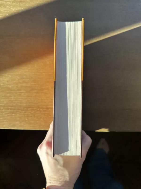 Melagis ant kušetės - Irvin D. Yalom, knyga 3