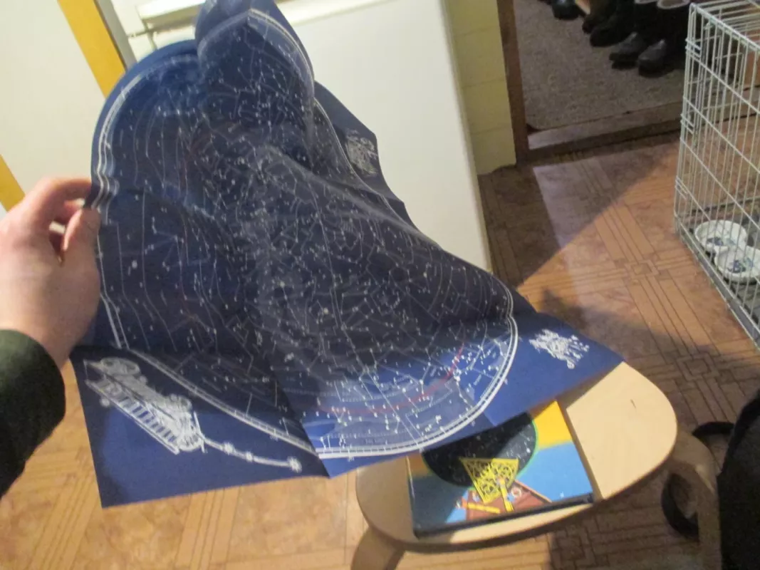 Žvaigždynai - Zinaida Sviderskienė, knyga 4