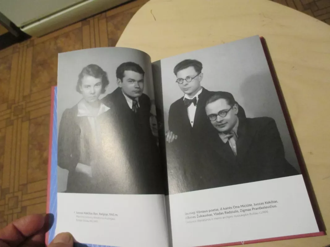 Ruduo žydi aguonom - Juozas Kėkštas, knyga 6