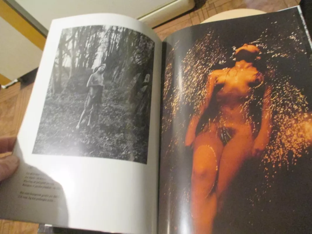 Pelenė. Lietuvos fotomenas - Autorių Kolektyvas, knyga 5