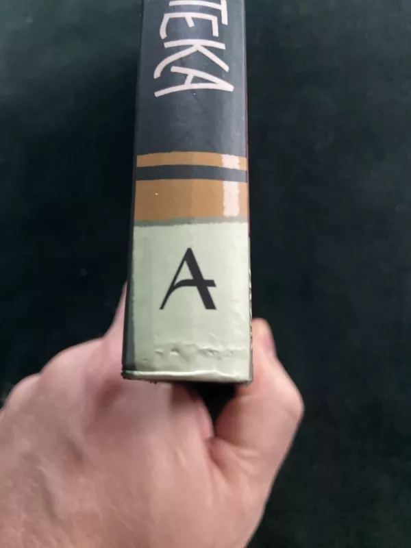 Paslapčių biblioteka - Rebecca Stead, knyga 2