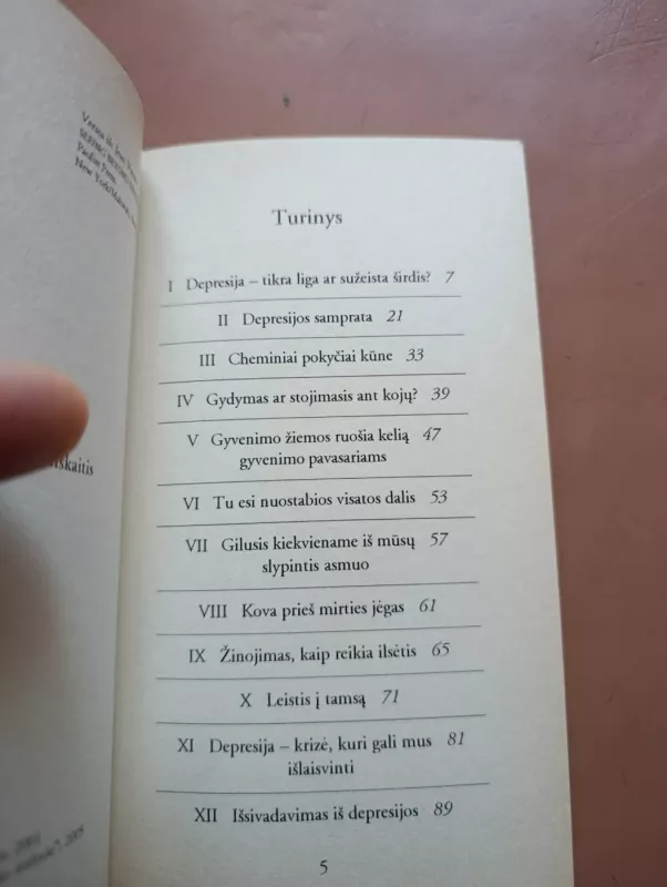 Žvilgsnis anapus depresijos - Jean Vanier, knyga 5