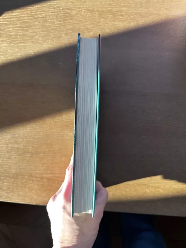 Terapija - Sebastian Fitzek, knyga 3