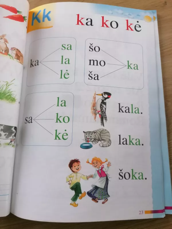 Genelis - Juozas Danilavičius, knyga 5