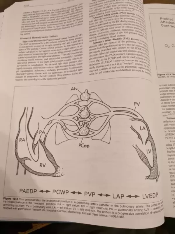 Applied Therapheutics. The Clinical use of drugs - Autorių grupė, knyga 5